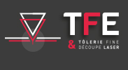 Logo TFE